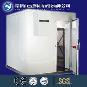 [Hot Item] Jiangsu Walk-in Refrigerator and Freezer for Commercial Food Storage