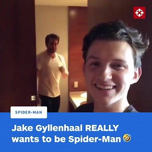 🤣🕷 (via Tom Holland / Instagram Story) | IGN