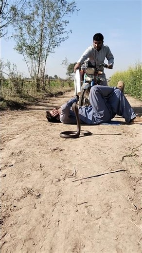 A snake appeared in front of the motorcycle