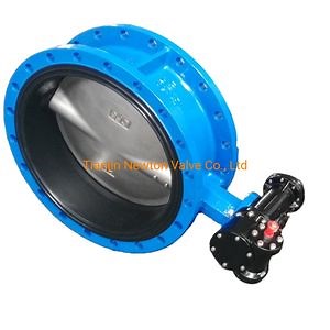 [Hot Item] Handle Operation Concentric Double Flange Butterfly Valve with Two Shaft Ductile Iron Fluorine Lined Flanged Butterfly Valve Soft Seal for Flow Adjustment