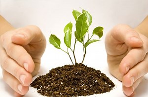 Le développement local : objectifs, acteurs, rôles et outils