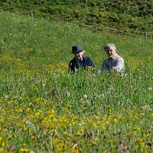 Youth - La giovinezza - Film (2015)