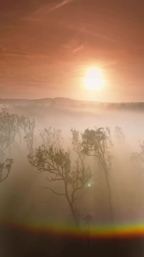 A magnificent morning rise at Beedelup National Park, WA 🌞 📸 Aeroture 👏 #ausgeo #discoveraustralia #westernaustralia #sunriselovers #adventurelovers | Australian Geographic