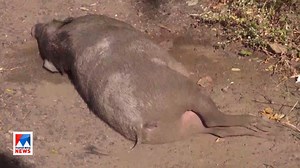 48K views · 430 reactions | ഇരുചക്ര വാഹനമിടിച്ച് പരുക്കറ്റ...