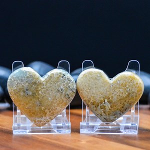 Java Fossil Heart Gift Set - Etsy