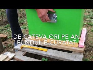 Stupi de albine - vizita la un apicultor 05.10.2017