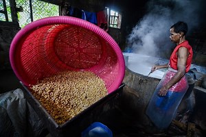 Kementan Usulkan Aturan Wajib Tanam untuk Importir Kedelai - Pertanian Katadata.co.id