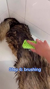 Does your GSD like to take a bath?😂🐾🐕❤️ | I Heart German Shepherds