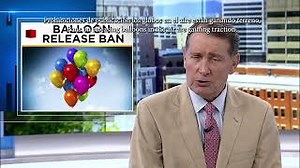 SERC Interns Explain: The Effects of Balloons on Marine Life | Smithsonian Institution