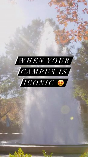 We’re an icon, we’re a legend 🔥 What is your favorite campus icon? #NeverBarkAlone | UGA Alumni Association