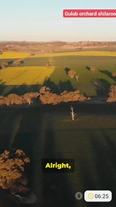 54K views · 408 reactions | Urea vs Ammonium Nitrate  Urea is a...