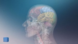 Ajeti i përmendur në Kuran dhe mrekullia qe zbuloi shkenca !!! | Adem Ramadani