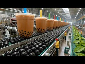 Inside a Modern Bubble Tea Production Line: From Tea Farm Harvest to Black Sugar Boba Bottles