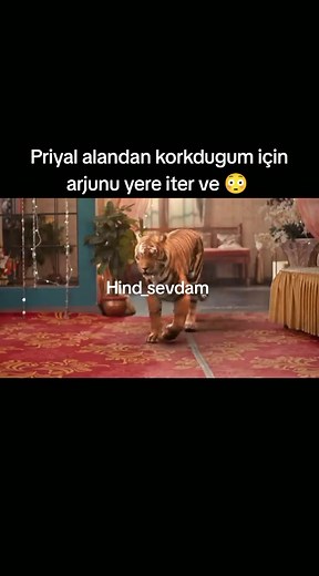 #dünyakeşfetinedüşmekistiyorum #keşfetdünyagörsün #benidünyayaduyurkeşfet #tiktokviral