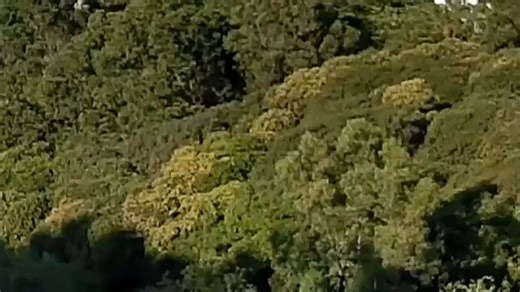 c400新手友好指南：操作简单易上手，日常拍摄轻松搞定，出门旅行也能拍出大片感。