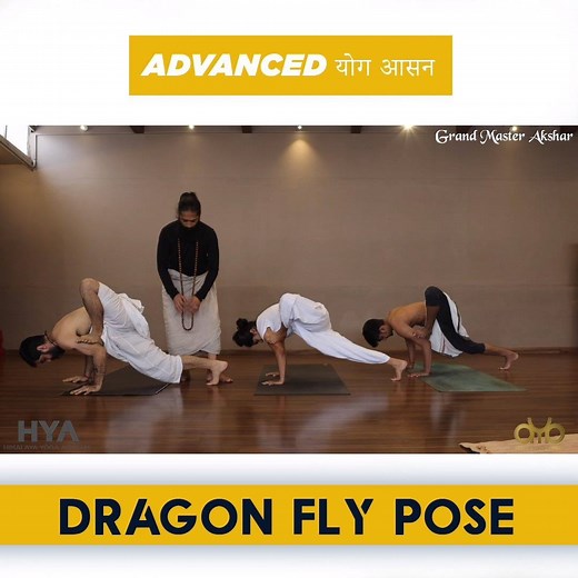 42K views · 252 shares | Yoga Asana Practice Dragonfly Pose #yoga #yogapractice #asana #meditation #life Grand Master Akshar | Akshar Yoga | Facebook