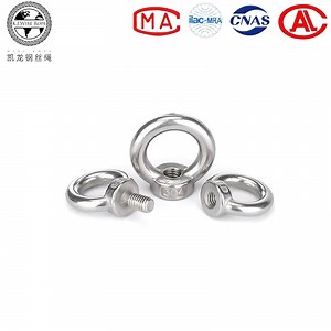 [Hot Item] Heavy Duty Stainless Steel Eye Bolts Nuts for Rigging