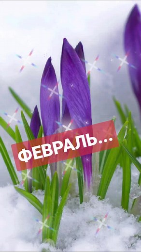 Spring Flowers Emerging from Snow