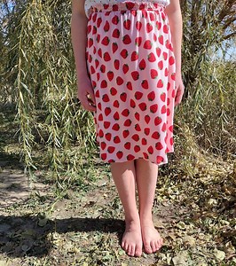 Bl. Solanus Casey Skirt - Etsy