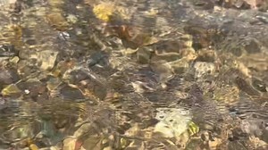 Jennifer Ketchmark on Reels