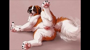 FERAL FURRY DOG COMPILATION. Cartoon Gay (BISTRAIGHTGAY)