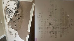 UofL student says she discovered her apartment was infested with mold