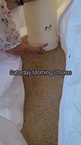 53K views · 1.4K reactions | My Saturday Morning: Feeding Chickens and Milking Goats #homesteadlife #goatlife #chickenlife | Mountain Spring Homestead | Facebook