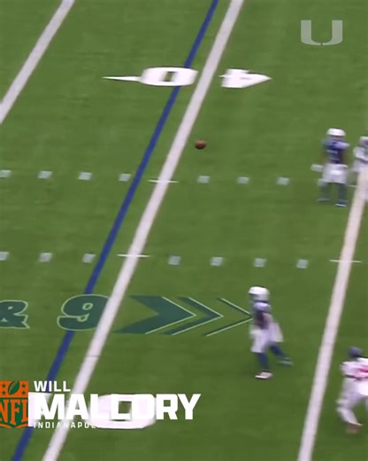 Our #ProCanes put in work during Week 2 of the NFL season 🙌 📱: Stream on NFL : bit.ly/3AIJPj2 #ProCanes | #GoCanes | Miami Hurricanes Football