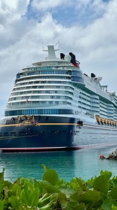 29K views · 150 reactions | Did you know you can snorkel at Disney’s...