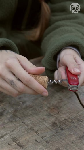 6.7K views · 18 reactions | Soak a Wine Cork in Alcohol | Bored Panda Art | Facebook