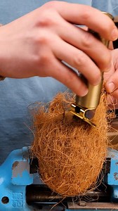 Fascinating Coconut Shaving | Science, Tech and Universe