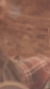 1.9K views · 39 reactions | 25.10.24 | Blonde Brothers | Facebook