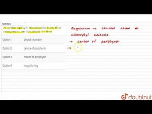 A chlorophyll molecule has the magnesium located in the