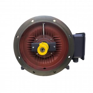 [Hot Item] Universal Tefc Three Phase Induction Electric Motor Electric Motor Industrial Motor