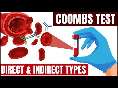 Coombs Test Explained: Direct & Indirect Types, Procedure & Results | Hemolytic Anemia Diagnosis