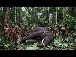 Elephants Nearby… Korowai Tribe Survival Without Modern Life (100% Off the Land)