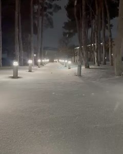 5K views · 18 reactions | ADA University on Reels | Facebook