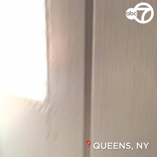 SQUIRREL ATTACKS: Residents in Queens have reported at least FIVE attacks from aggressive squirrels since late November. One woman needed to visit the emergency room after her hand was bitten by a squirrel. Some people said they are afraid to walk in their own neighborhood due to the aggressive critters. 😳 https://7ny.tv/3pAZgBs | ABC7NY