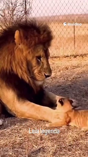 2.8K views · 40K reactions | The Awakening Experience on Reels | Facebook