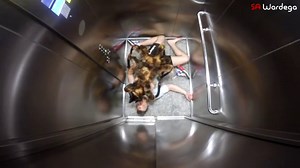 Funny Prank Mutant Giant Spider Dog