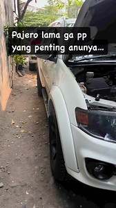 Anunya | Diesel Fuel System Specialist