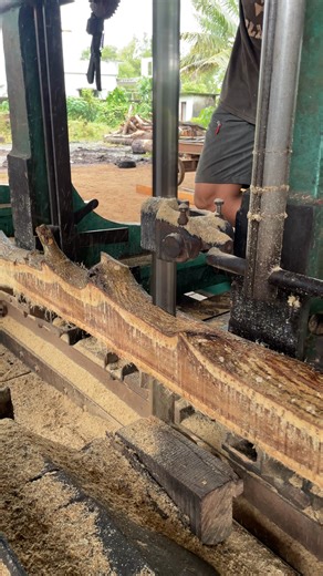 saw mill wood cutting and sizing method #woodpeeling #woodpeel #woodworking #wood #viral #woodcutting #bigwood #viralvideo | Page home