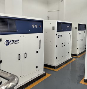 [Hot Item] Customized 22kw/30HP Roots Rotary Lobe Positive Displacement Blower in Sewage Treatment Plant