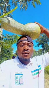 67 reactions · 18 comments | ☀️ *GOODBYE OCTOBER.* Note, Life Is Like A Book. Some Chapters Are Sad, Some Are Happy And Some Are Exciting, But If You Never Turn The Page, You Will Never Know What The Next Chapter Has In Store For You. *Remember, A Coward Gets Scared And Quits. A Hero Gets Scared, But Still Goes On. You're A Hero. You're Upward Bound. Don't Give Up.* I Wish You A *Happy Day* 305/366 | Diomcaleb Jam | Facebook