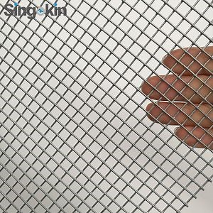 [Hot Item] 6X6mm Opening Galvanized Carbon Snake Proof Mesh Vermin Rodent Mesh Aviary Bird Cage Mesh