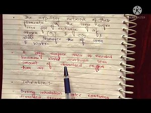 mechanism of gill respiration| counter current mechanism |gases exchange in bony fish|