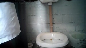toilet squatting poop 3