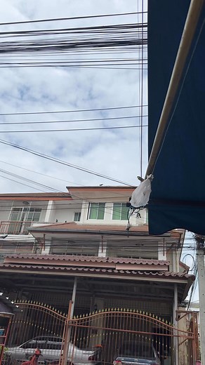 No Job No Wet 😤 | Mario Moawhisky