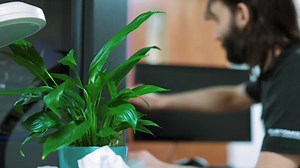 Do you have a weak PC? #rage #memepage | AVADirect Custom Computers | Facebook