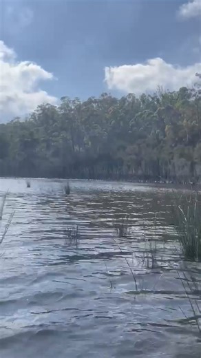 My kayak trip down Cann River, to Tamboon inlet and beyond. Mid March 2024 Video 4: by Adelaide Kraina | Victorian Creeks and Rivers; Friends of Deep Creek